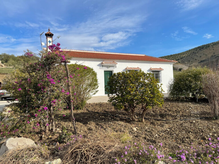 796750 detached villa costa del sol 4 bedrooms alora e249000 2 768x576