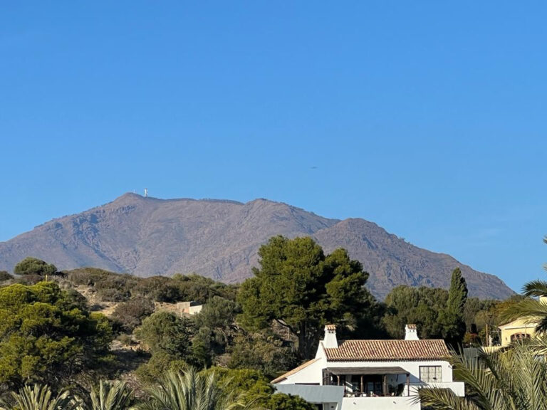 836900 detached villa costa del sol 5 bedrooms estepona e1250000 5 768x576