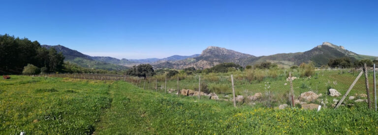 878331 land plot costa del sol 0 bedrooms ronda e1650000 11 768x274