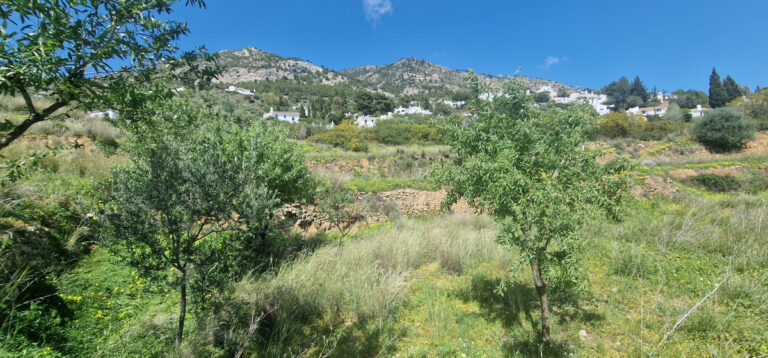 879012 residential plot costa del sol 0 bedrooms mijas e1400000 5 768x358