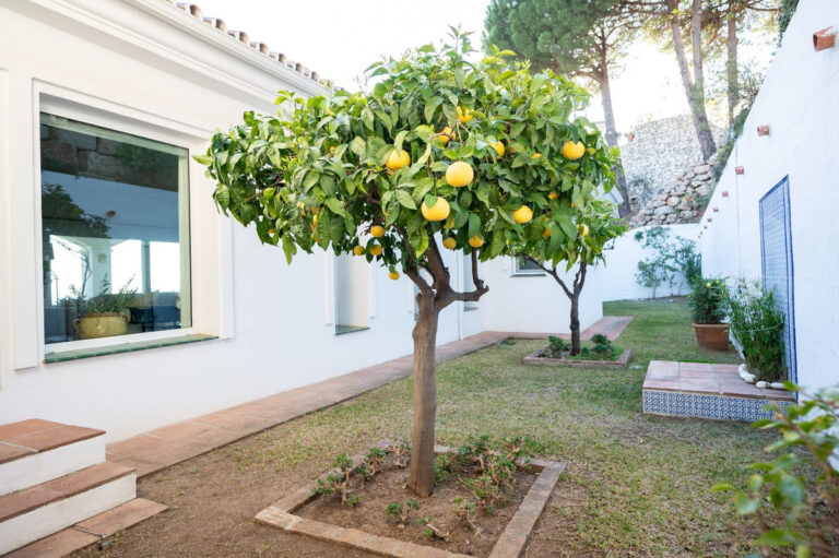 879570 detached villa costa del sol 5 bedrooms valtocado e950000 9 768x511