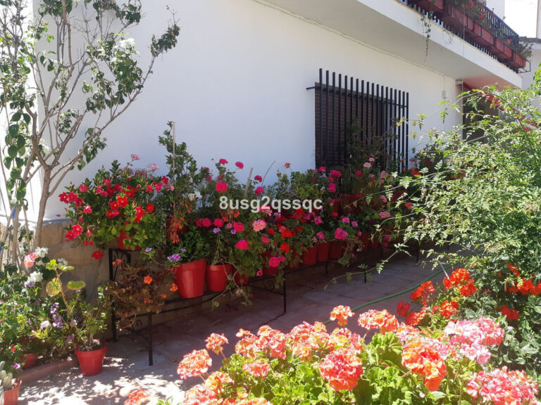 882281 ground floor apartment costa del sol 1 bedrooms arriate e50000 11 768x576